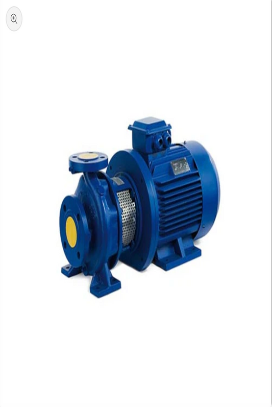 Raw Water Pump
